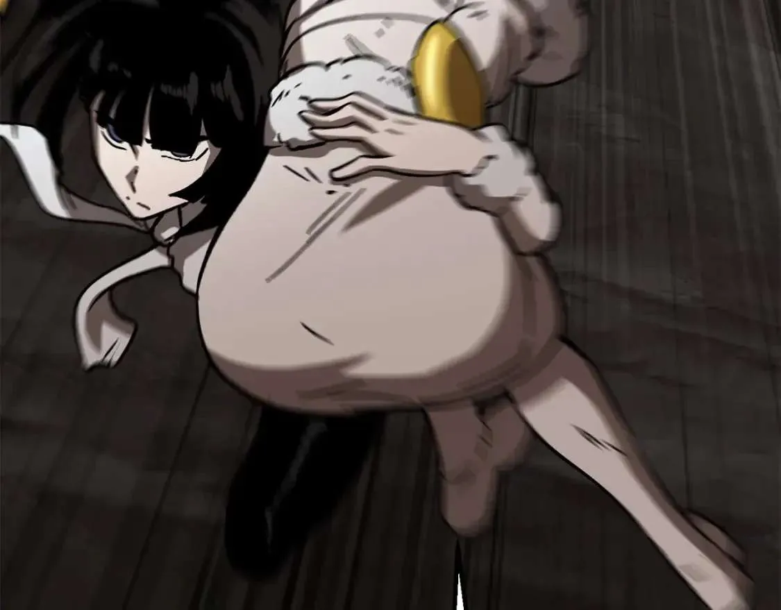 第231页