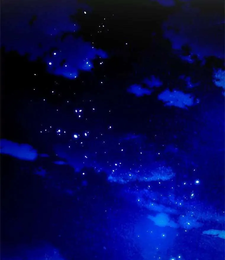 第107页