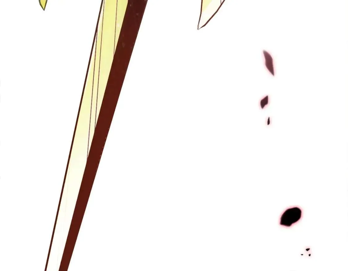 第239页