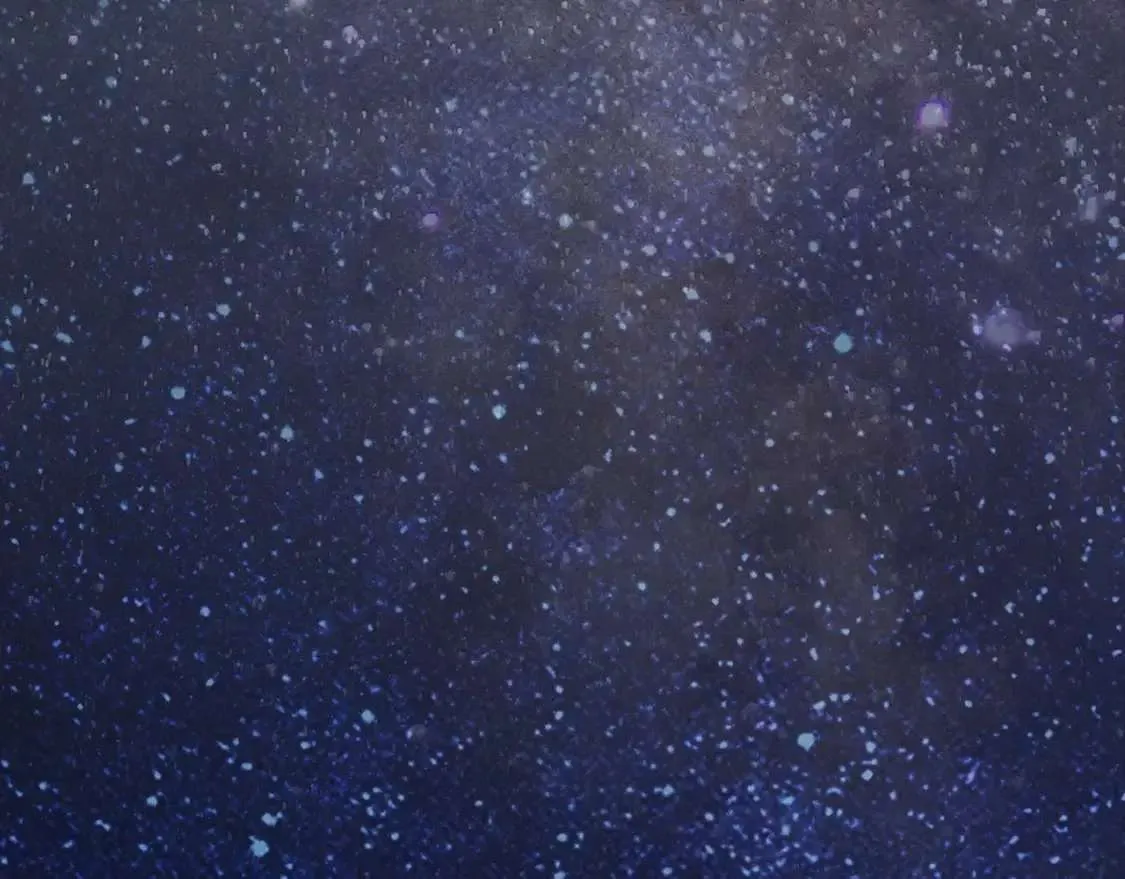 第257页