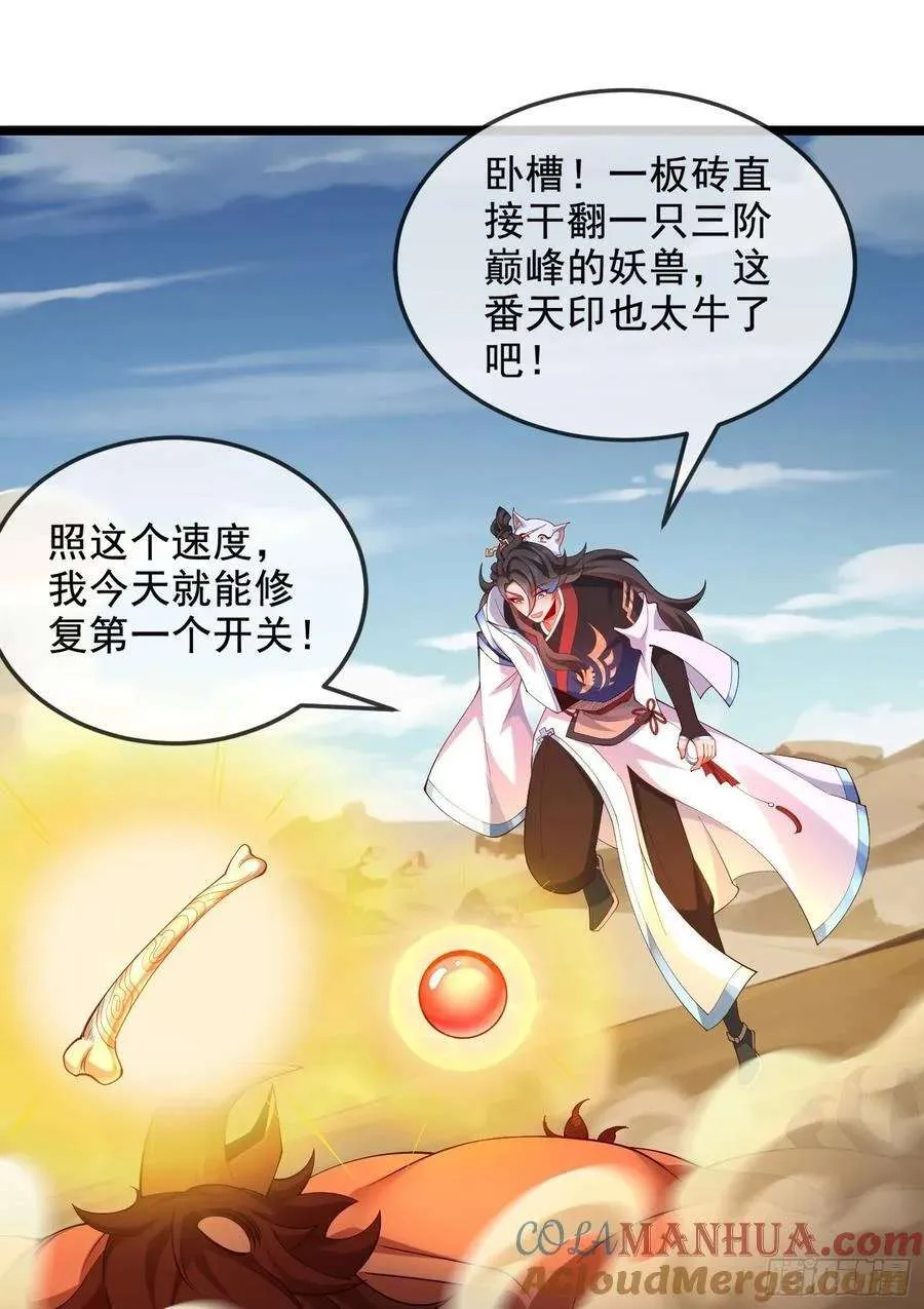 第55页