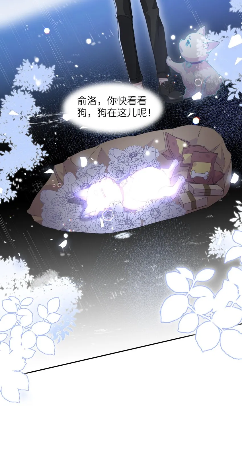 第47页