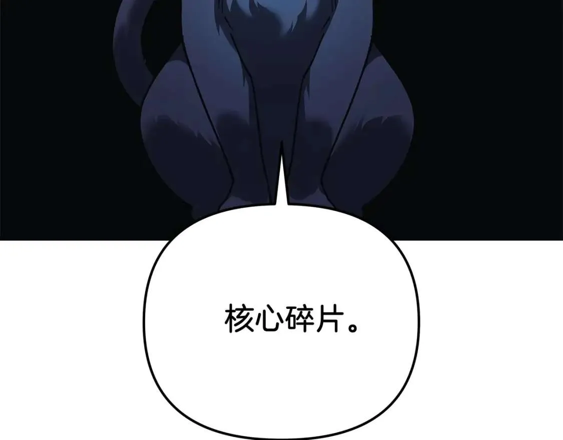 第215页