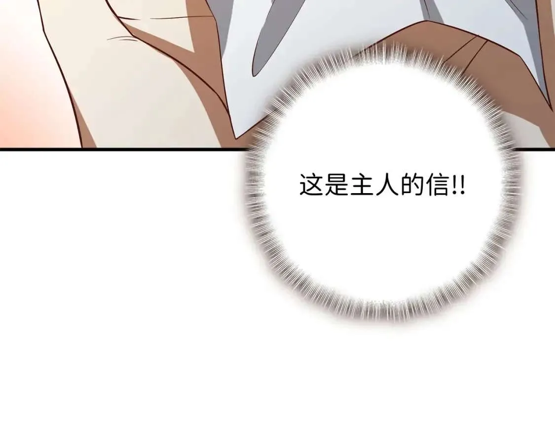 第238页