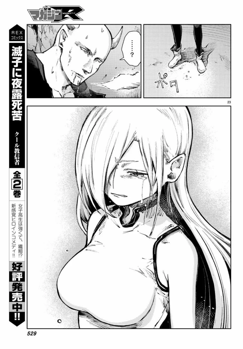 第23页