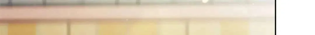 第242页