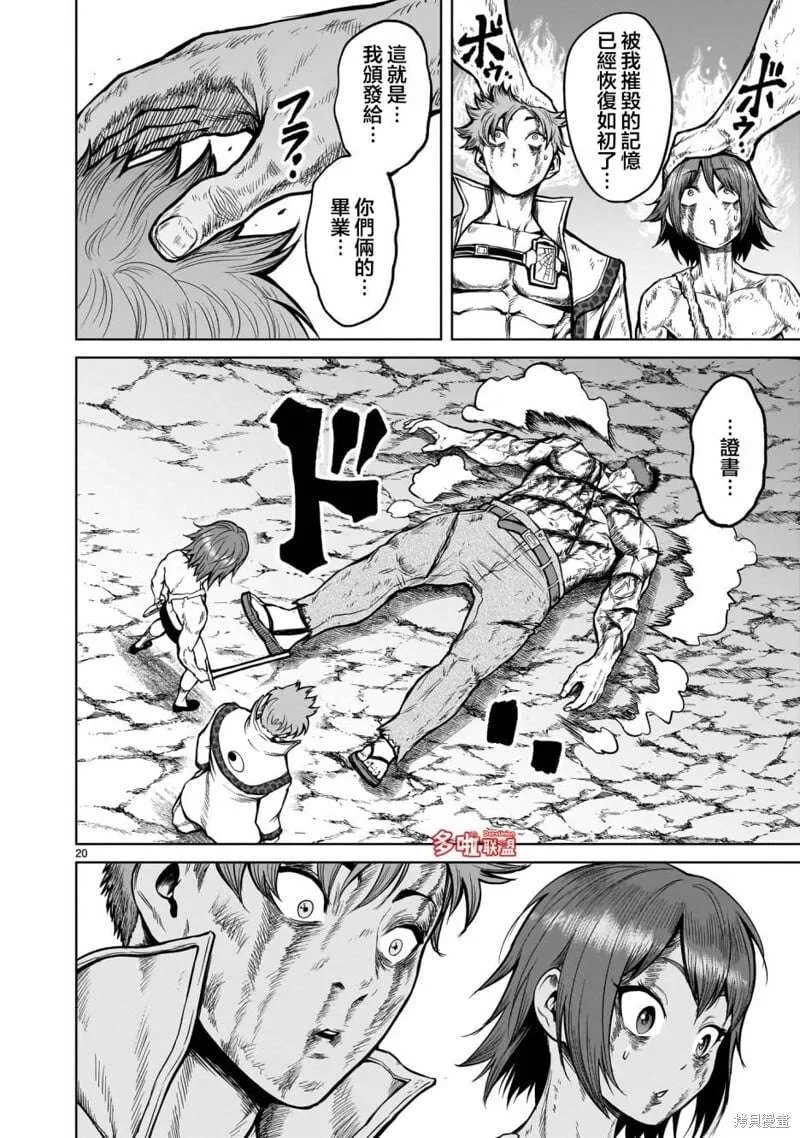 第20页