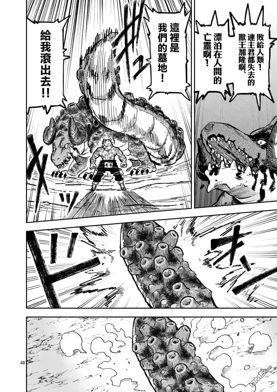 第48页