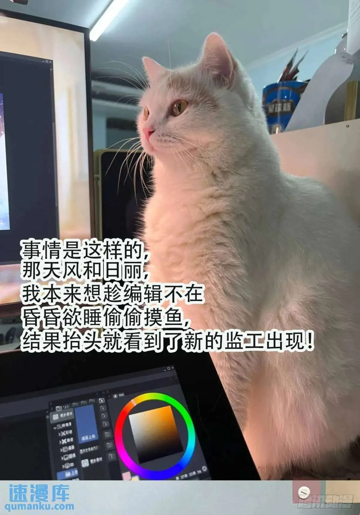 第58页