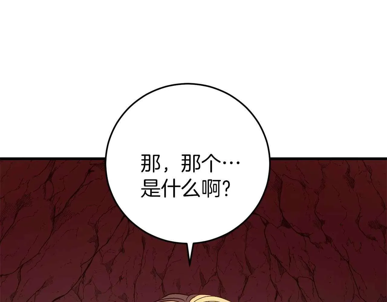 第215页