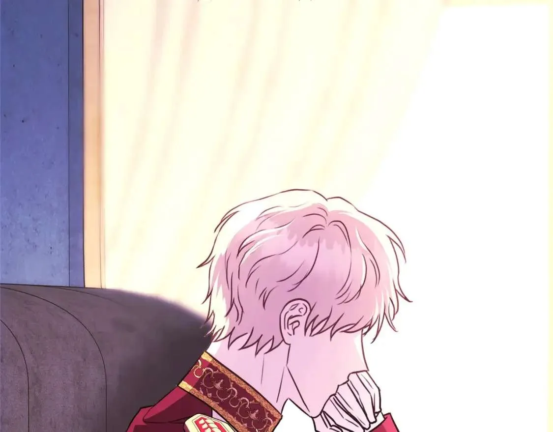 第217页