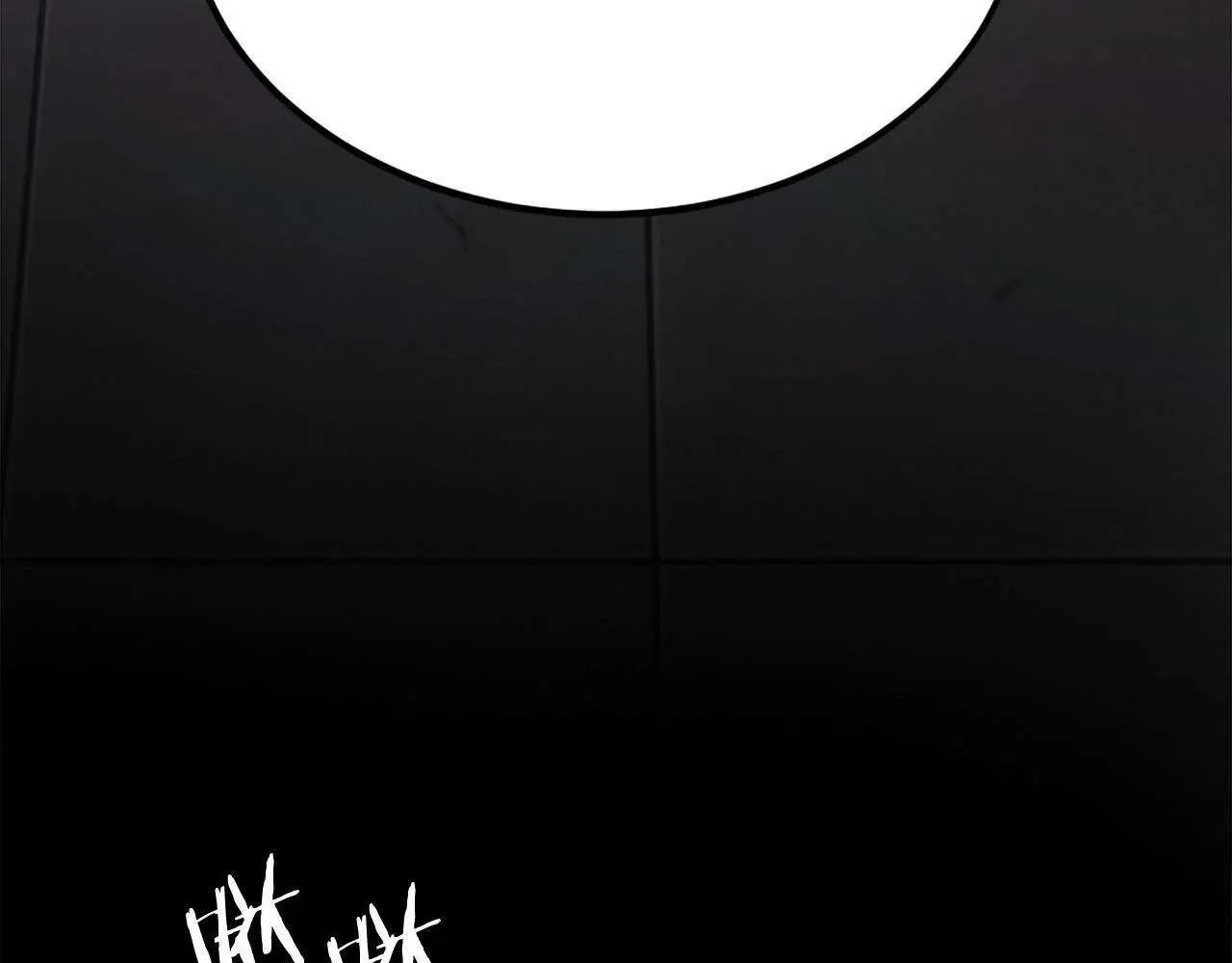 第239页