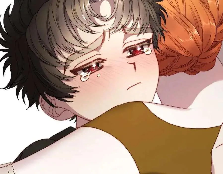 第204页
