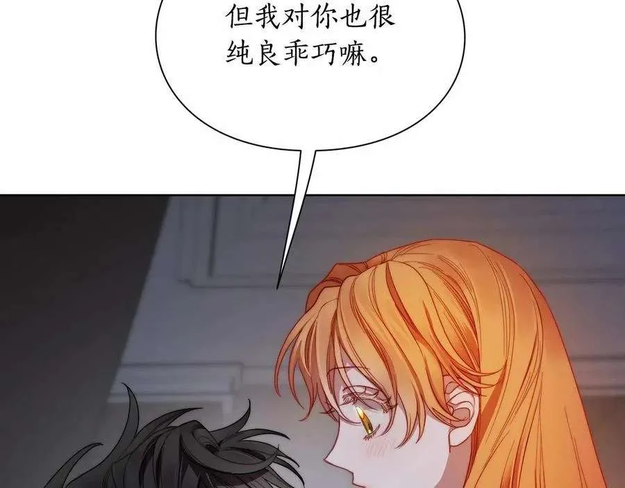 第216页