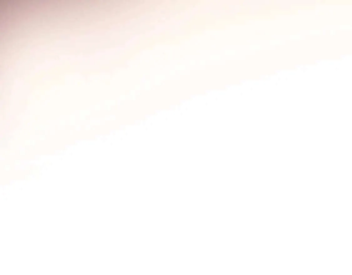 第221页