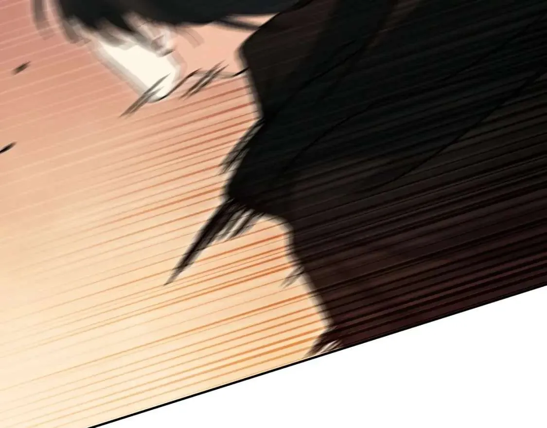 第234页