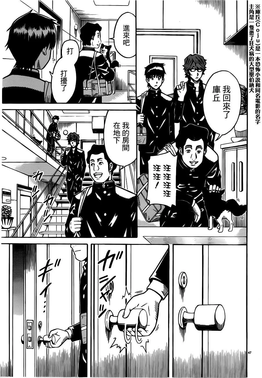 第46页