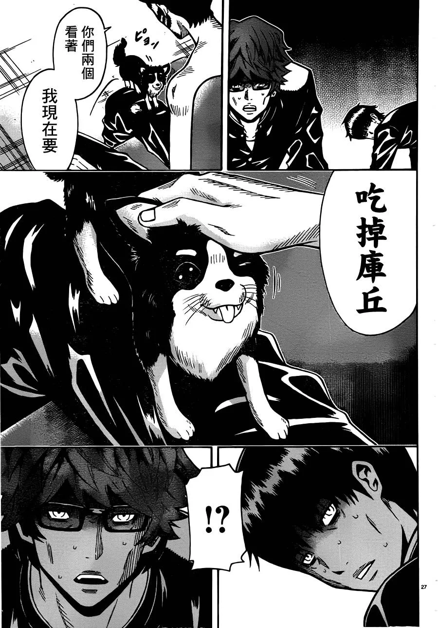 第27页