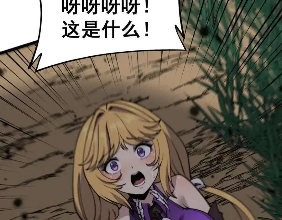第204页