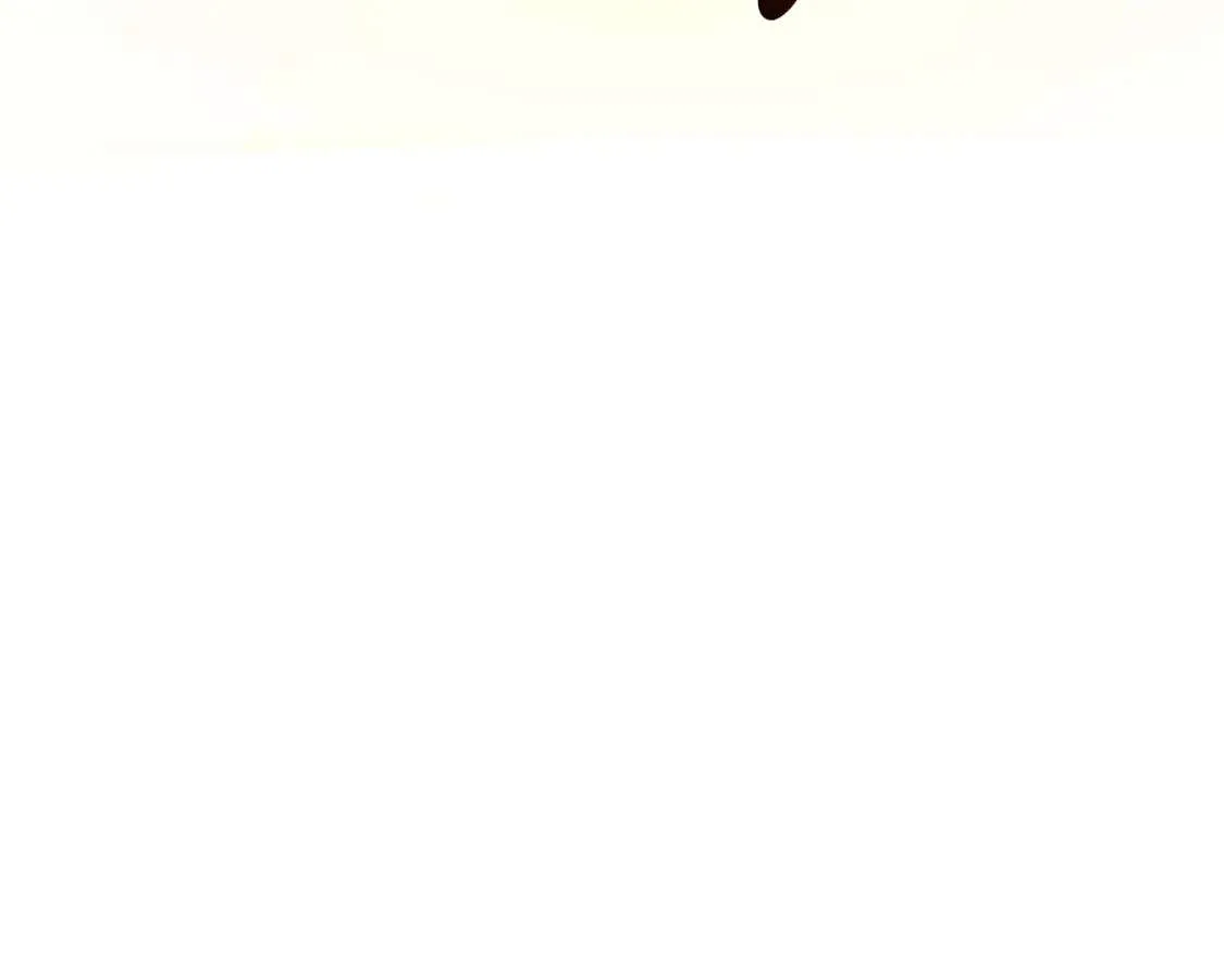 第211页