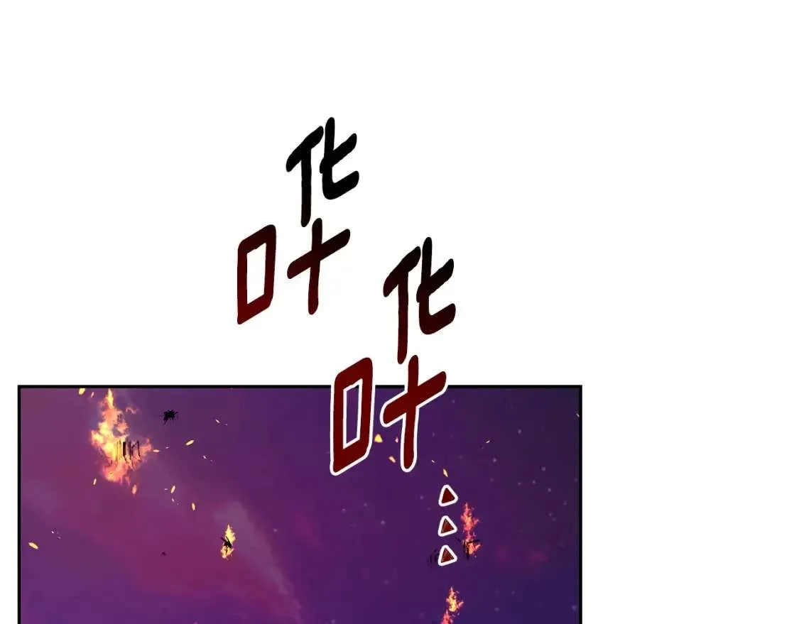 第224页