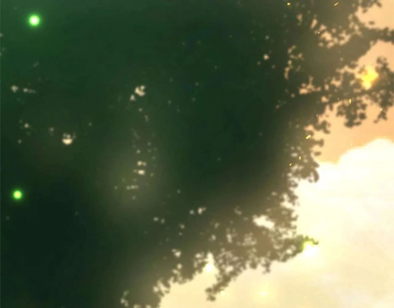 第241页