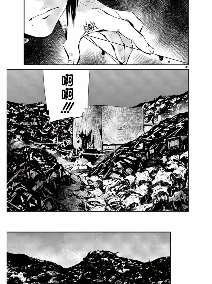 第45页