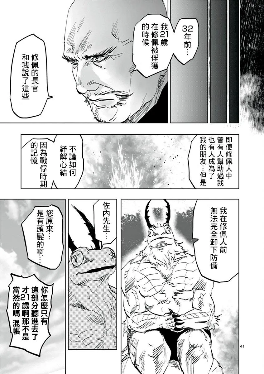 第41页