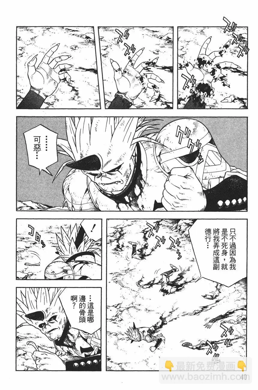 第42页