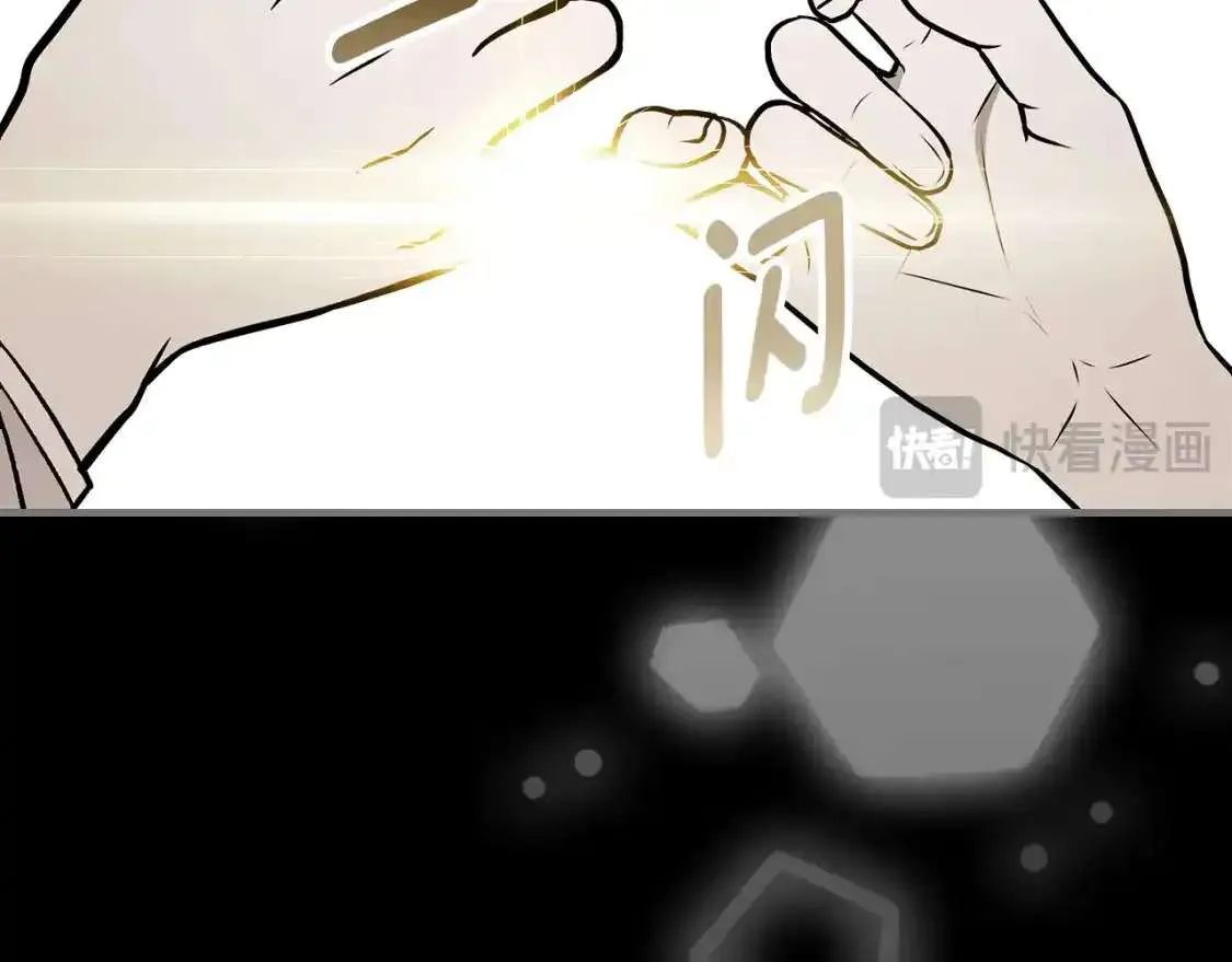 第231页