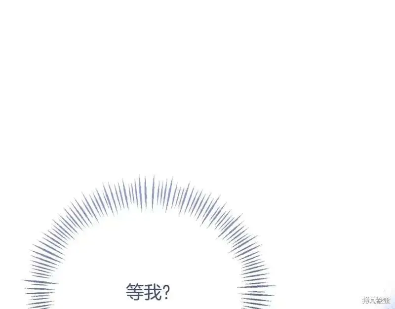 第213页