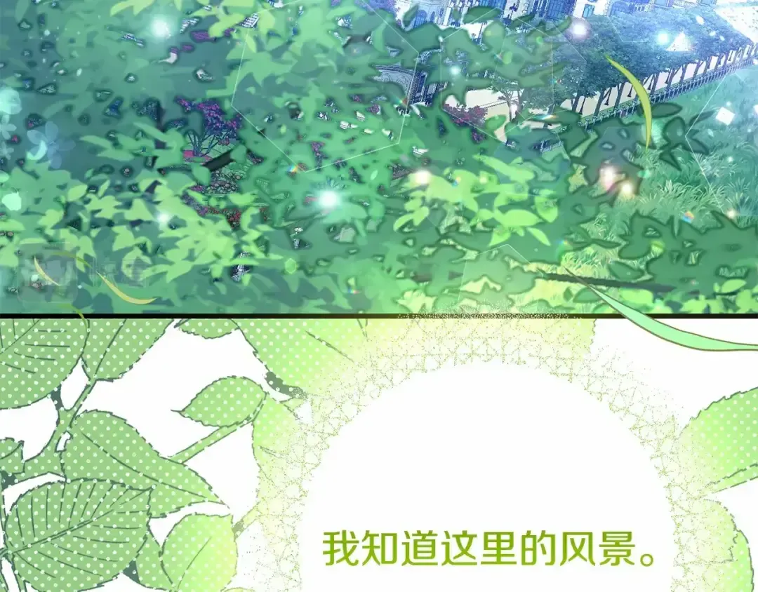 第215页