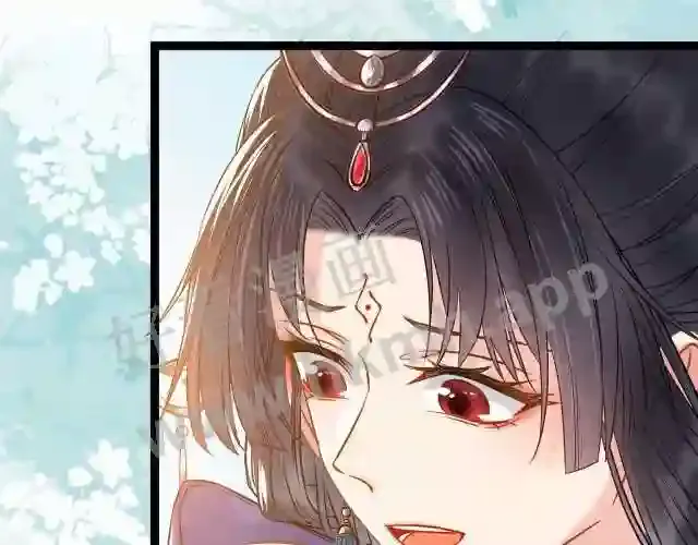 第185页