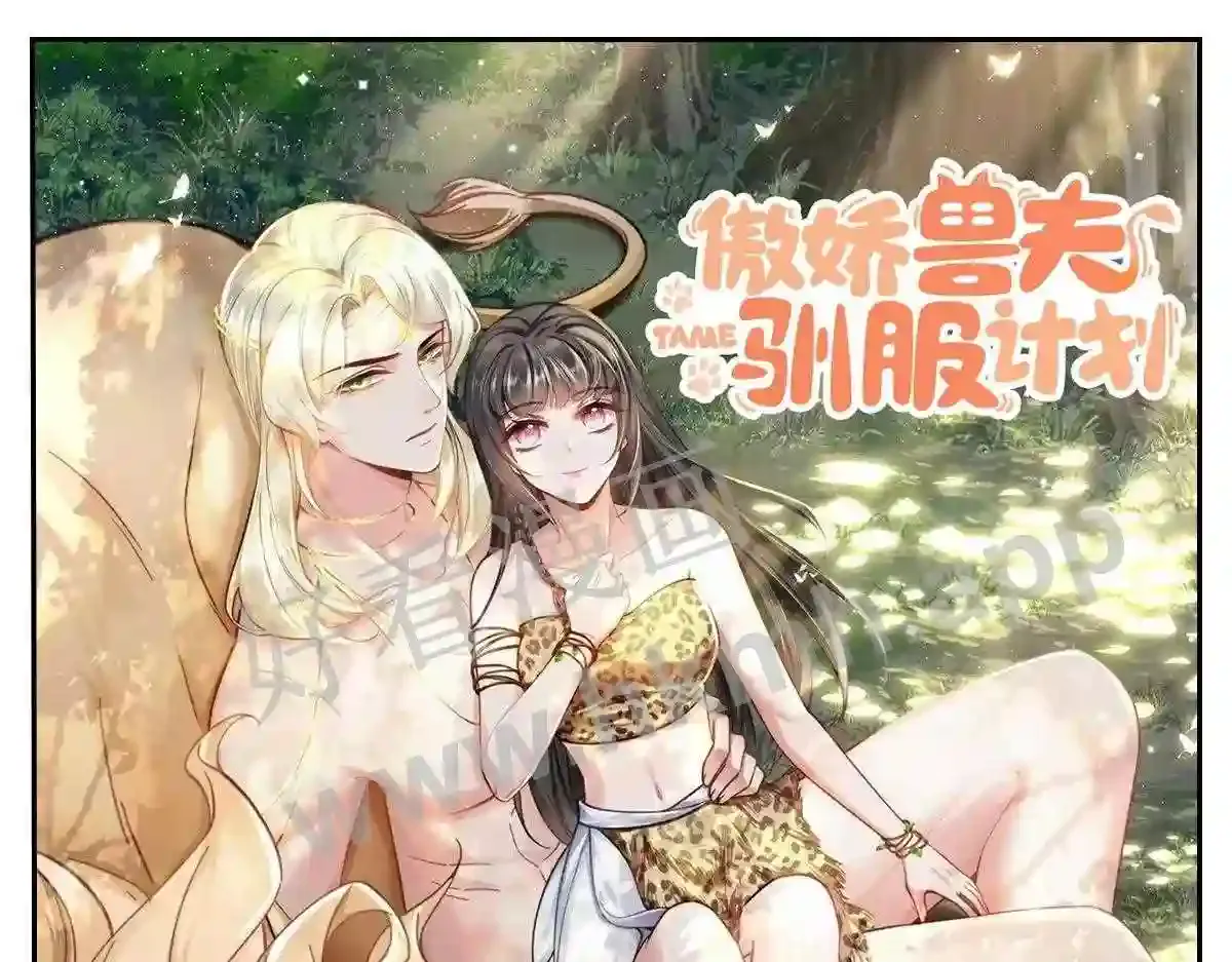 第164页