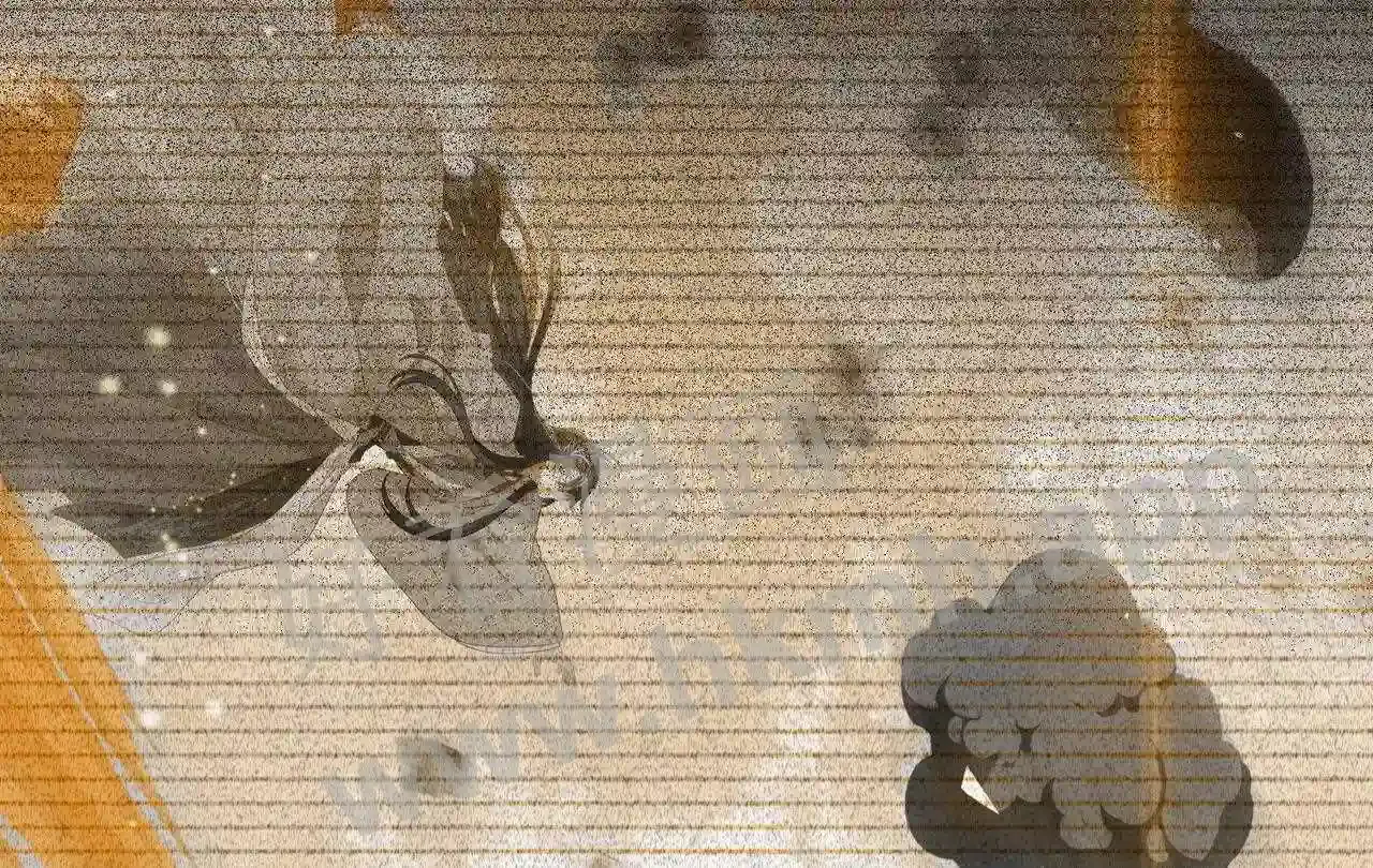 第81页