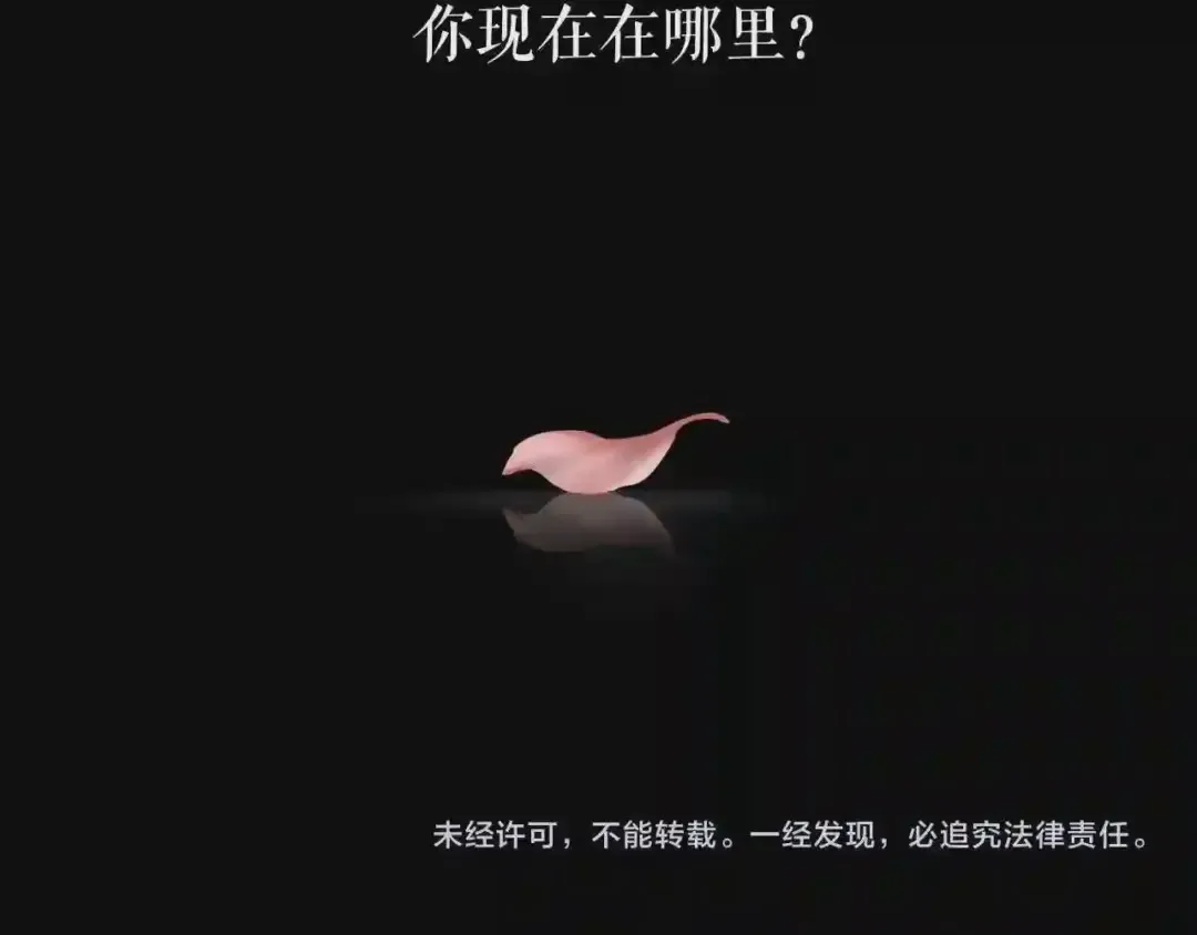 第203页