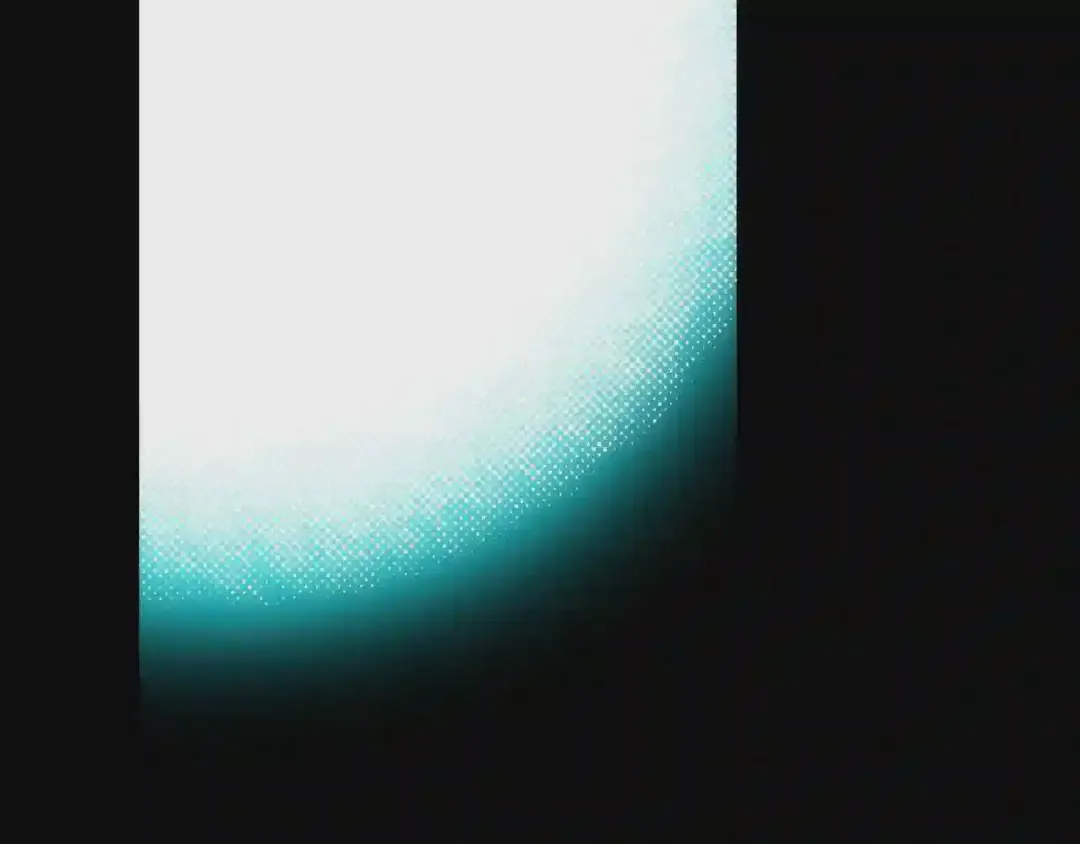 第203页
