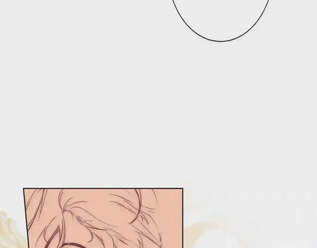 第255页