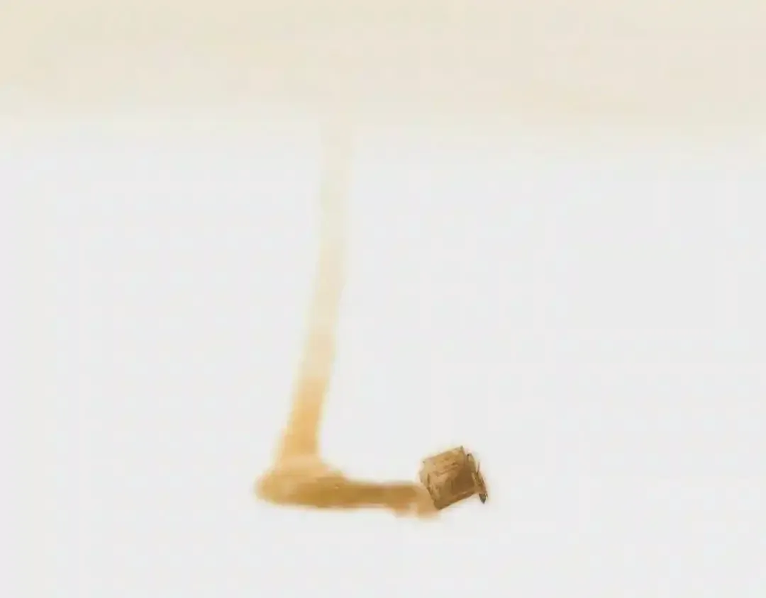 第178页