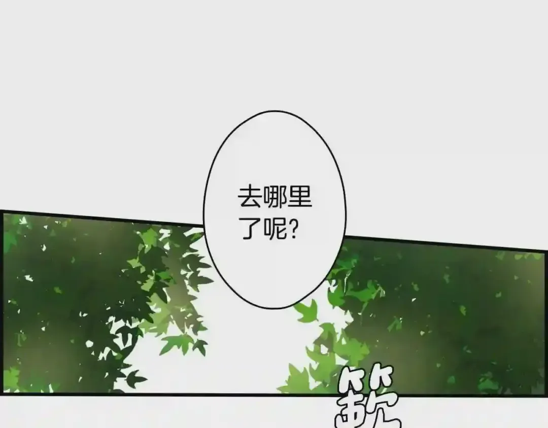 第185页