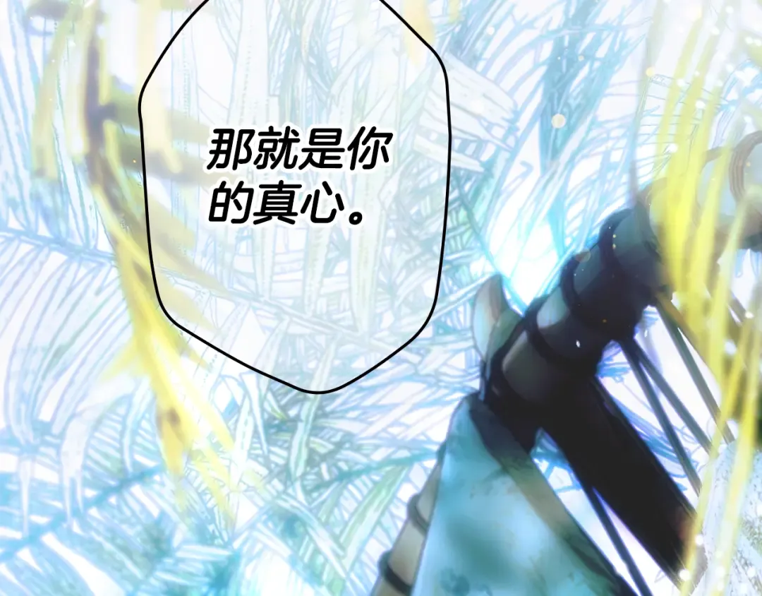 第255页