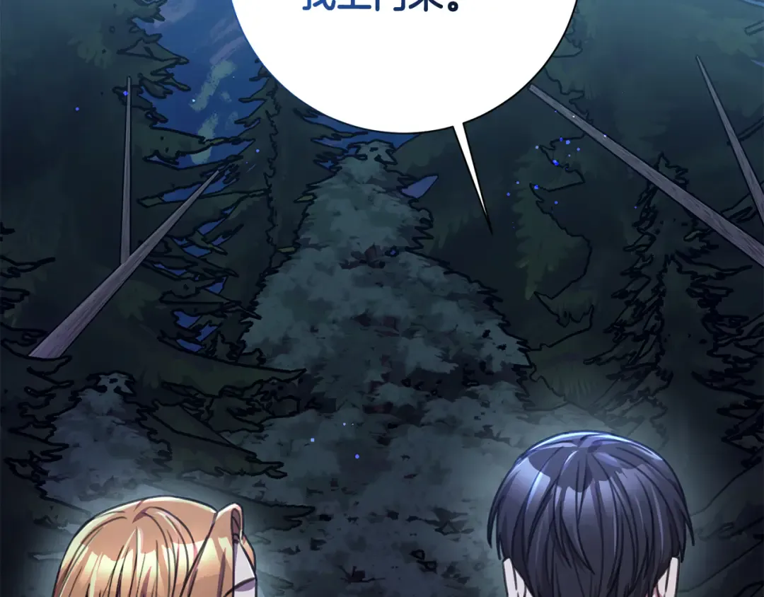 第217页