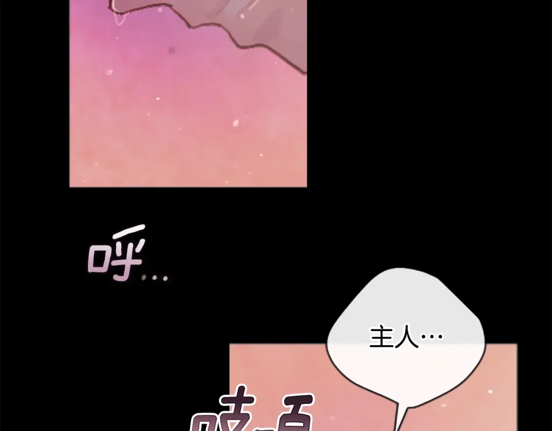 第215页