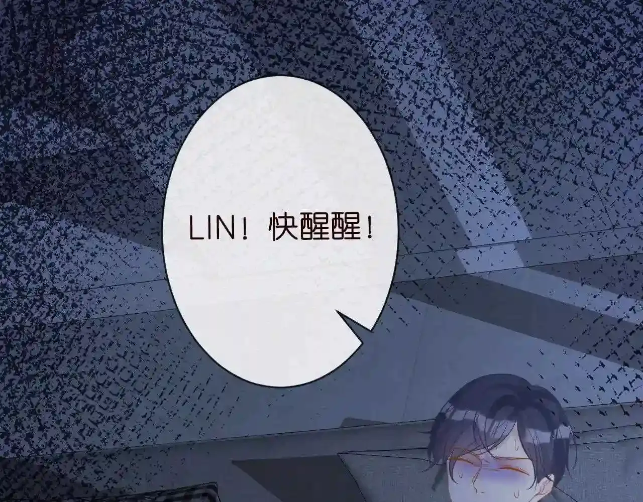 第101页