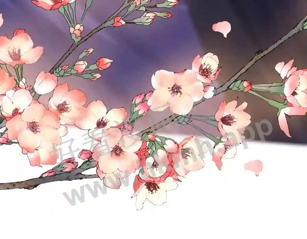 第114页