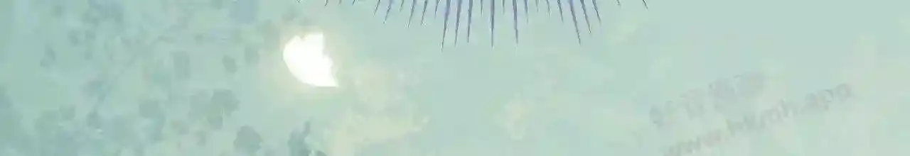 第145页
