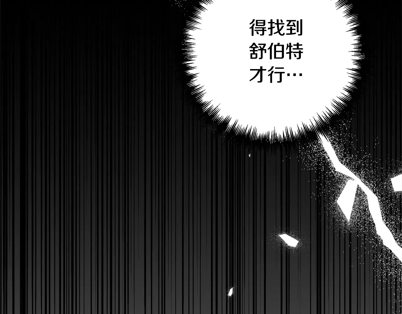 第204页