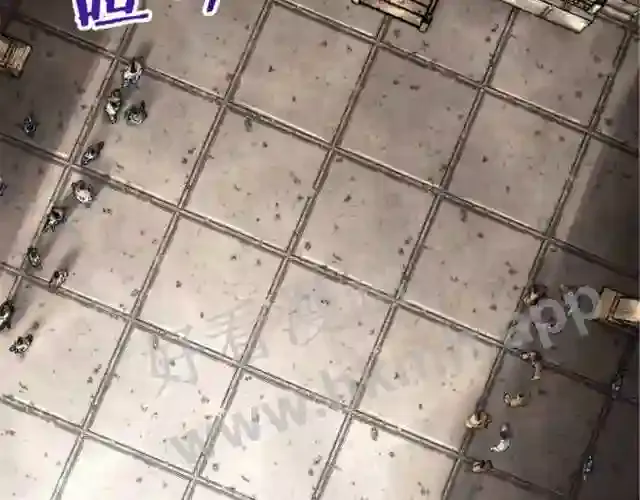 第65页