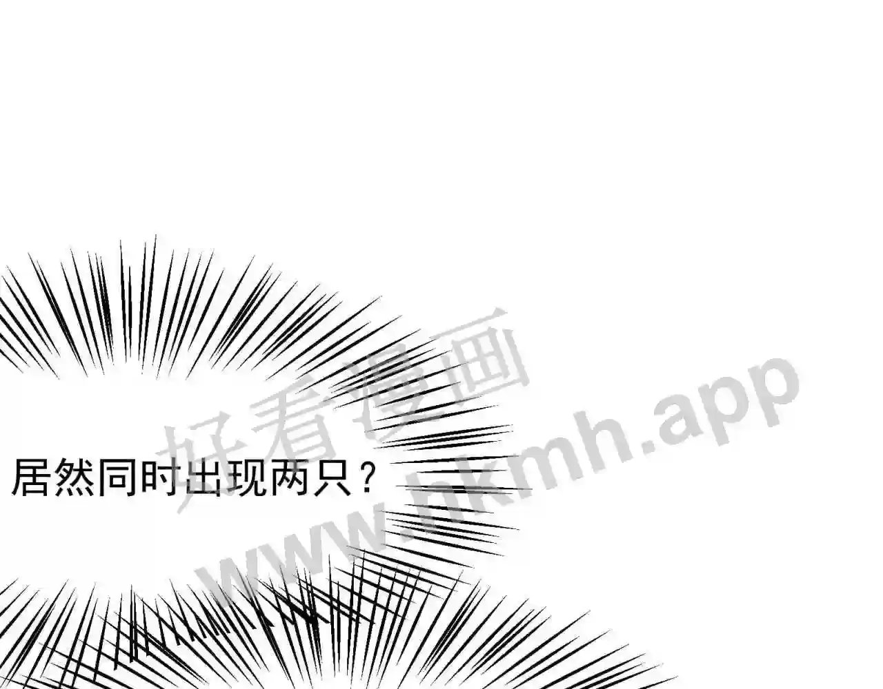第204页