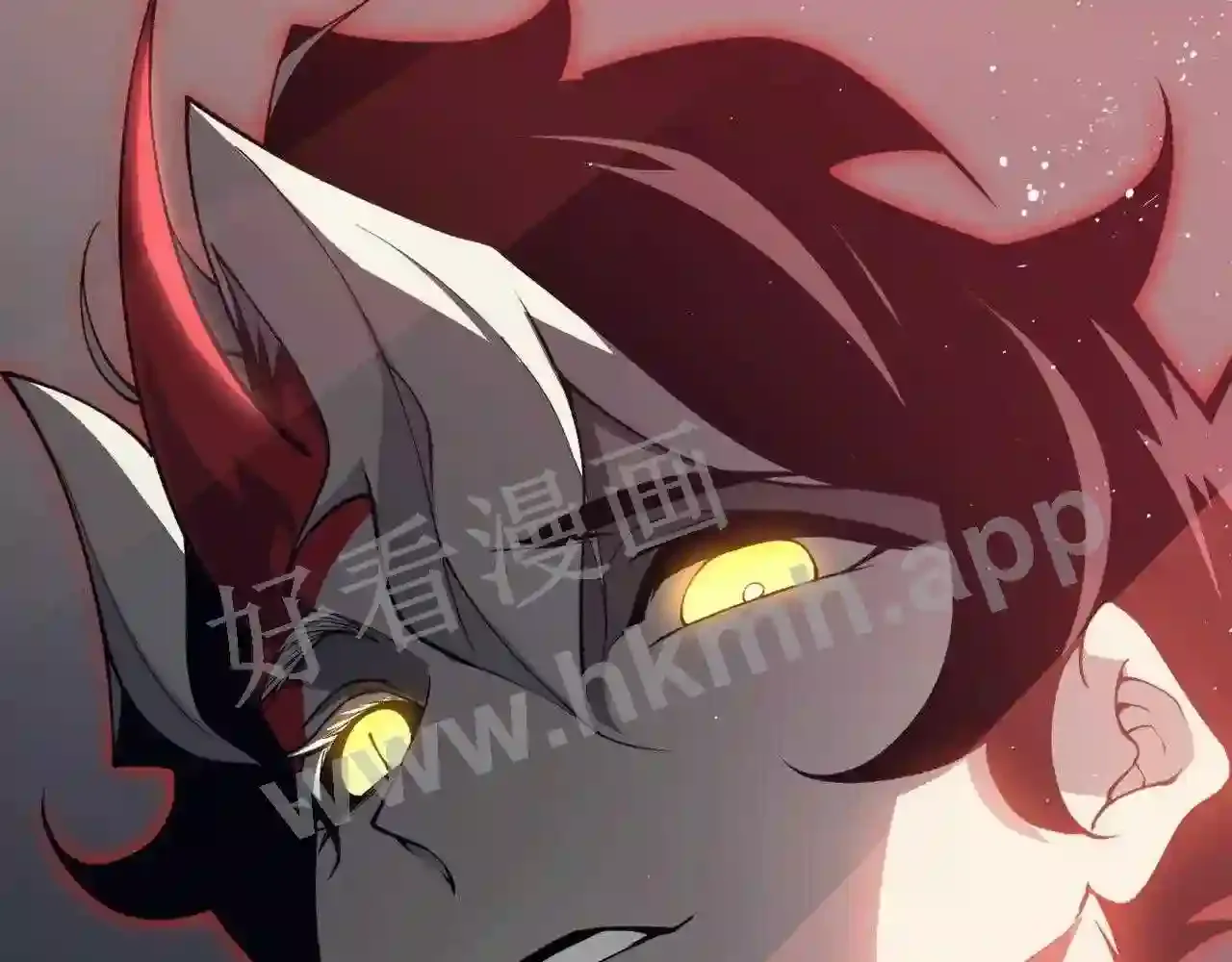 第216页